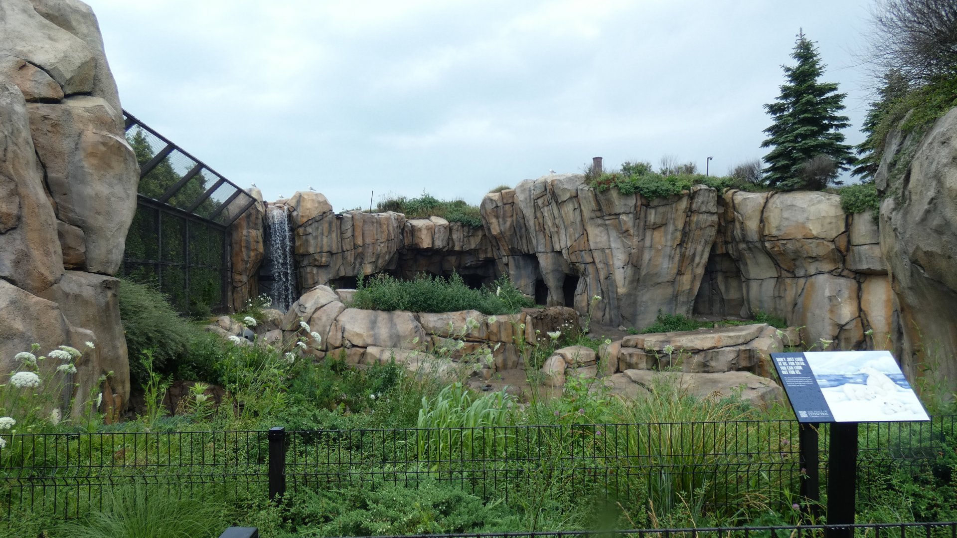 Polar Bear Exhibit, Arctic Tundra - July 2021