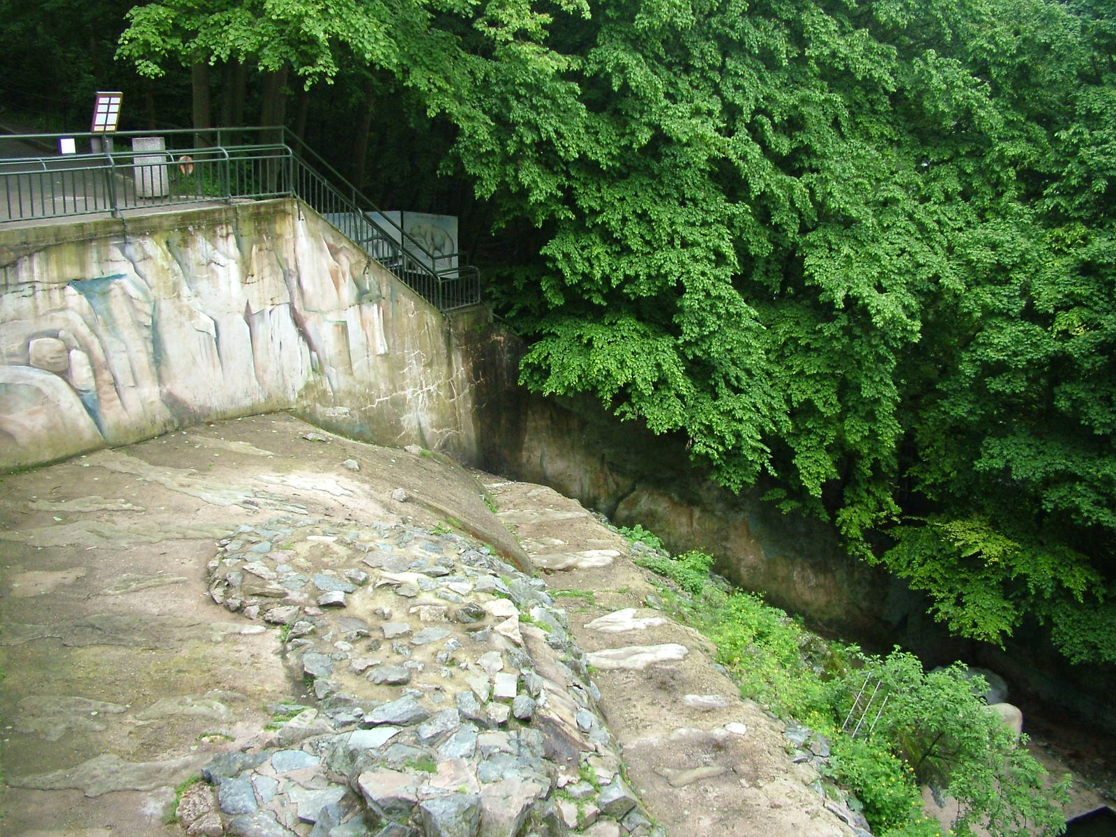 Polar Bear exhibit at Brno, 27/05/10