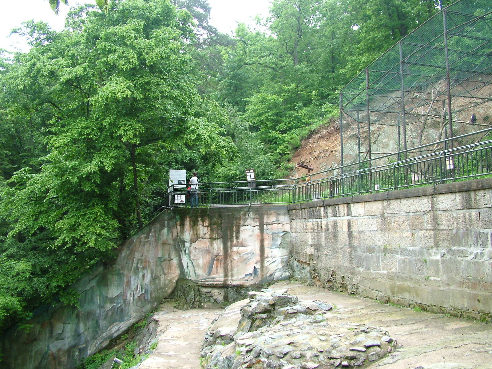 Polar Bear exhibit at Brno, 27/05/10