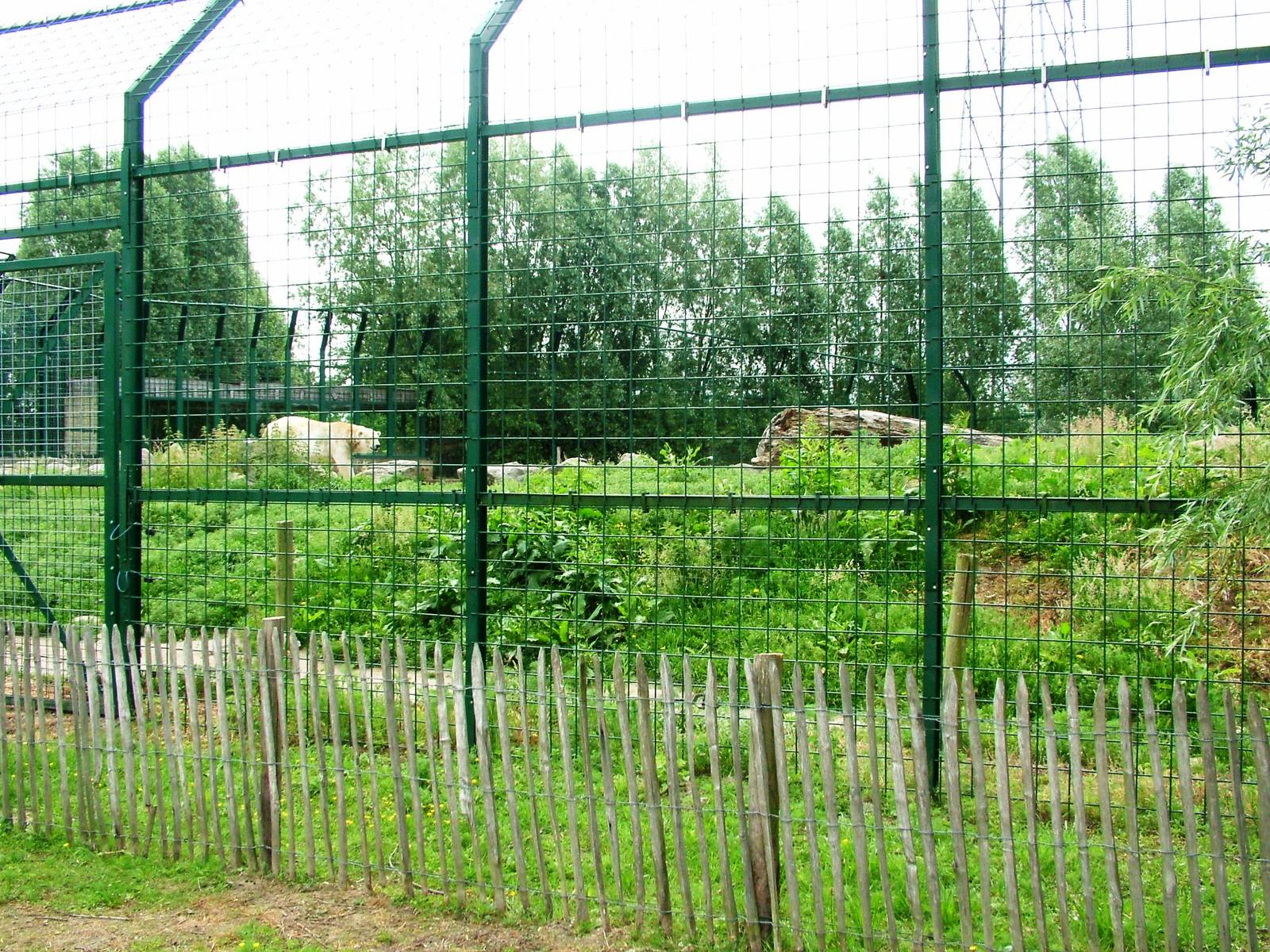 Polar Bear Exhibit at Dierenrijk, 31/05/12