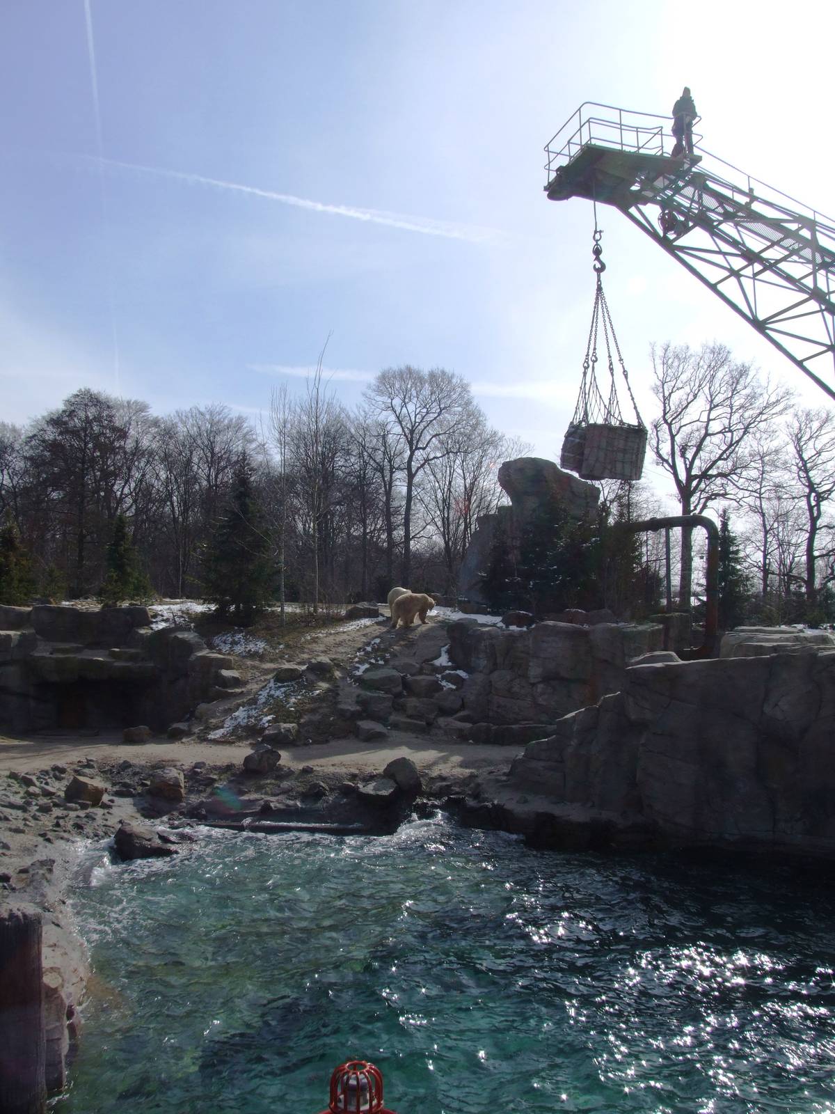 Polar Bear Exhibit at Hannover, 23/03/13