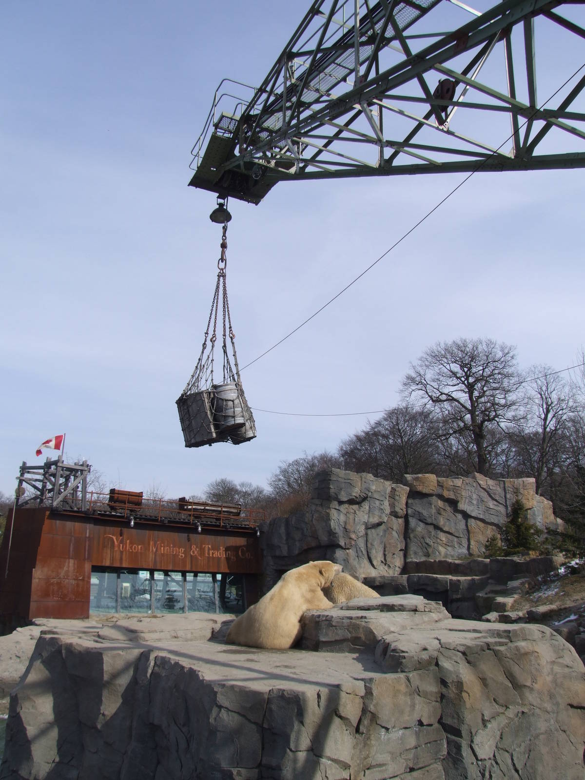 Polar Bear Exhibit at Hannover, 23/03/13