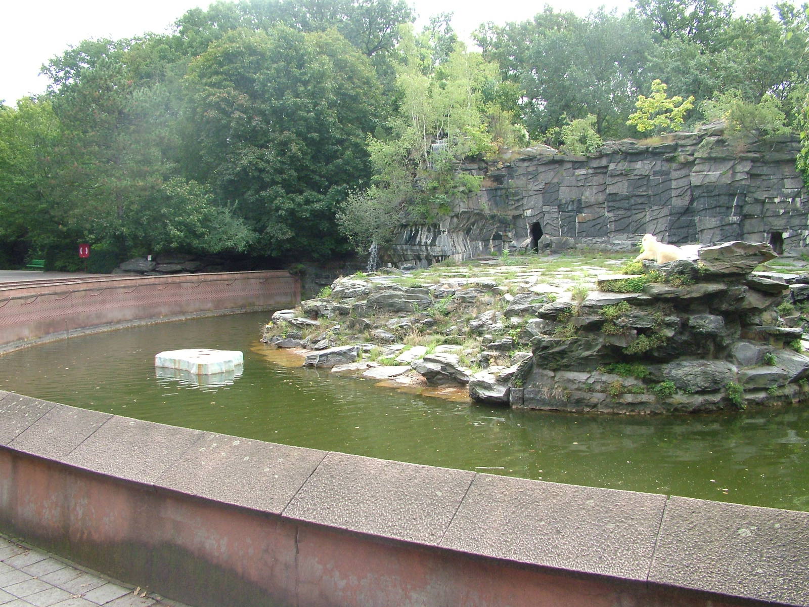 Polar Bear Exhibit at Tierpark Berlin 30/08/11