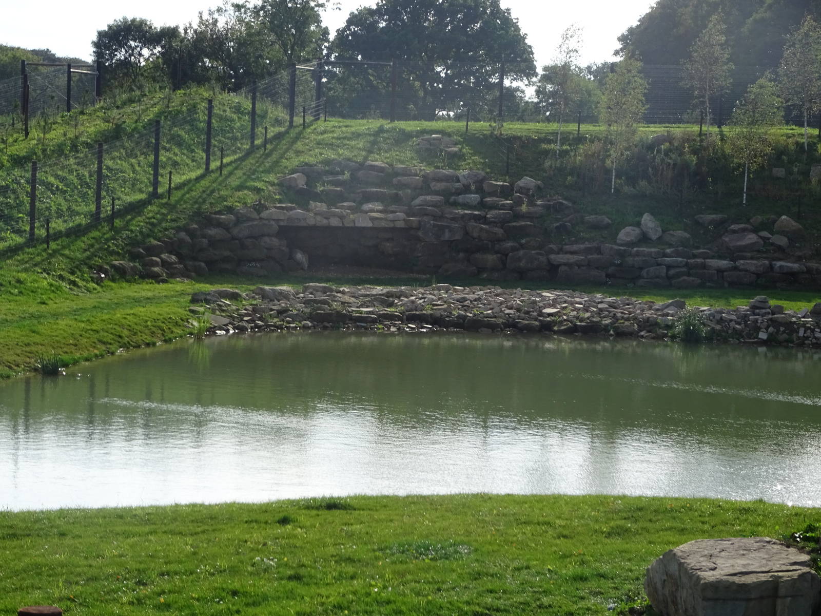 Polar Bear Exhibit at Yorkshire Wildlife Park