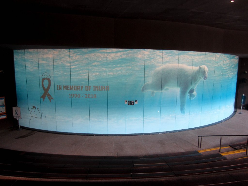 Polar bear exhibit (closed)