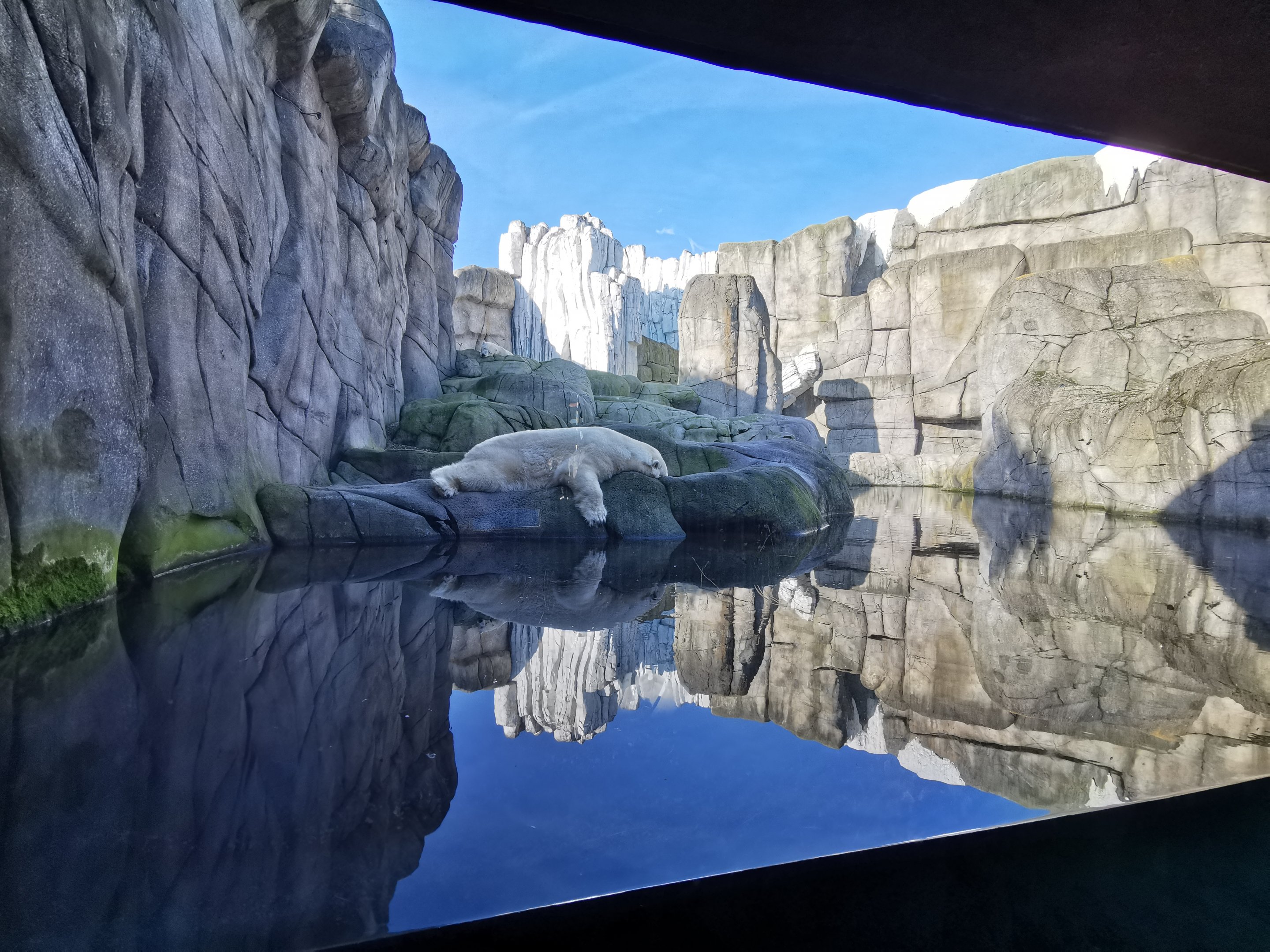 Polar bear exhibit, Eismeer - Tierpark Hagenbeck