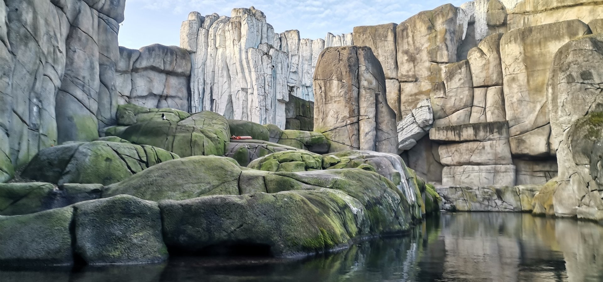 Polar Bear exhibit, Eismeer