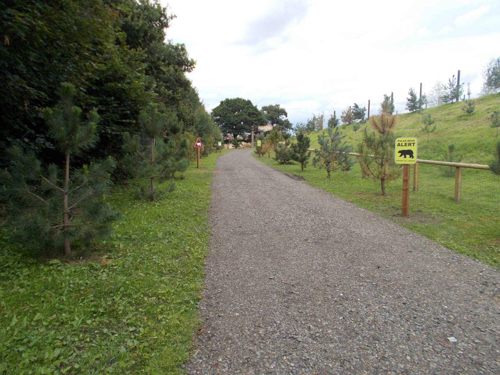 Polar Bear Exhibit Entrance Pathway - 15.08.2014