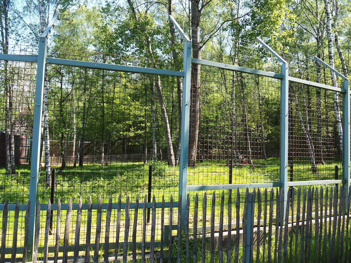 Polar bear exhibit - Forest area extension, 2023-05-19