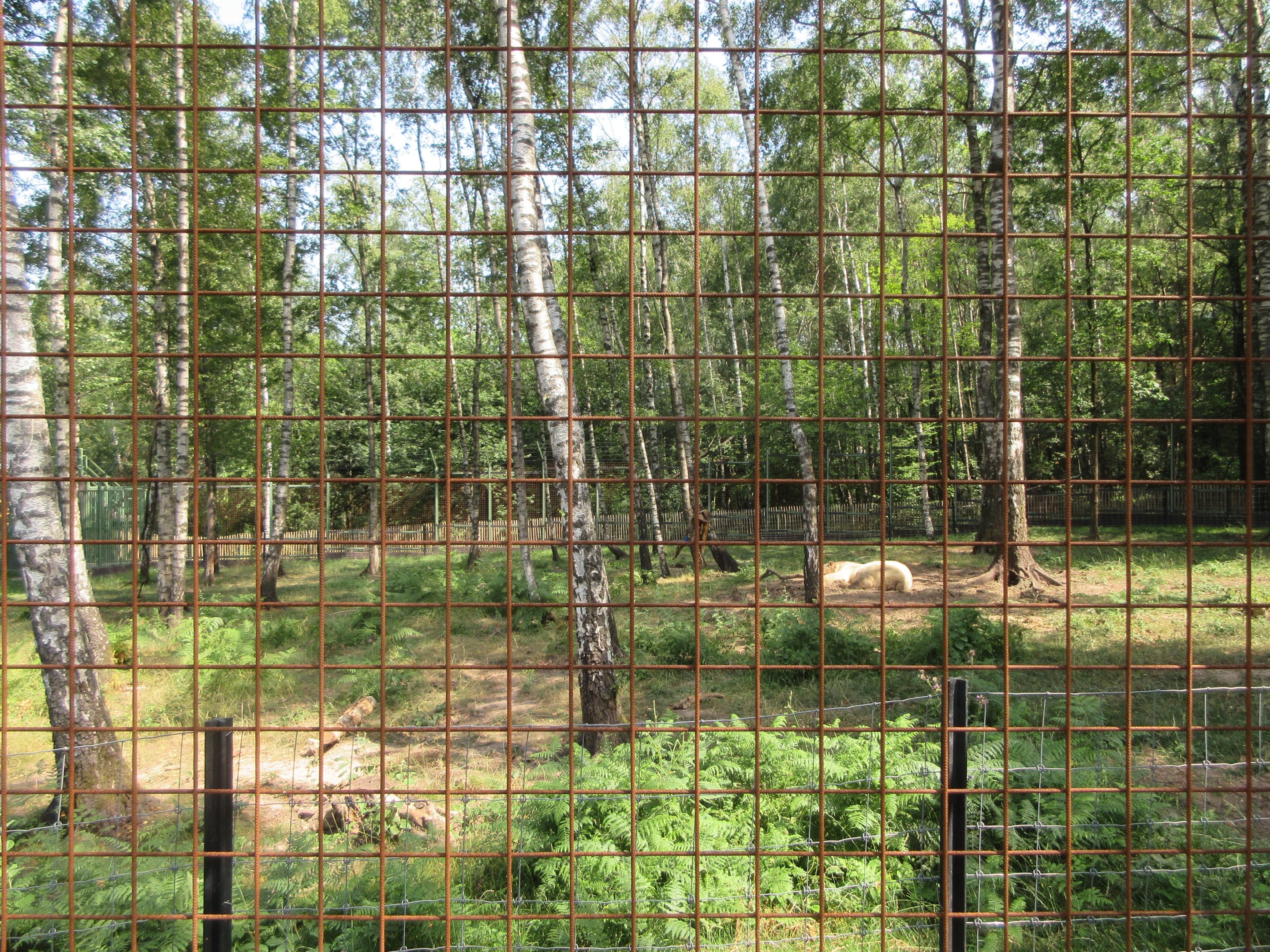 Polar Bear Exhibit - Forest Zone