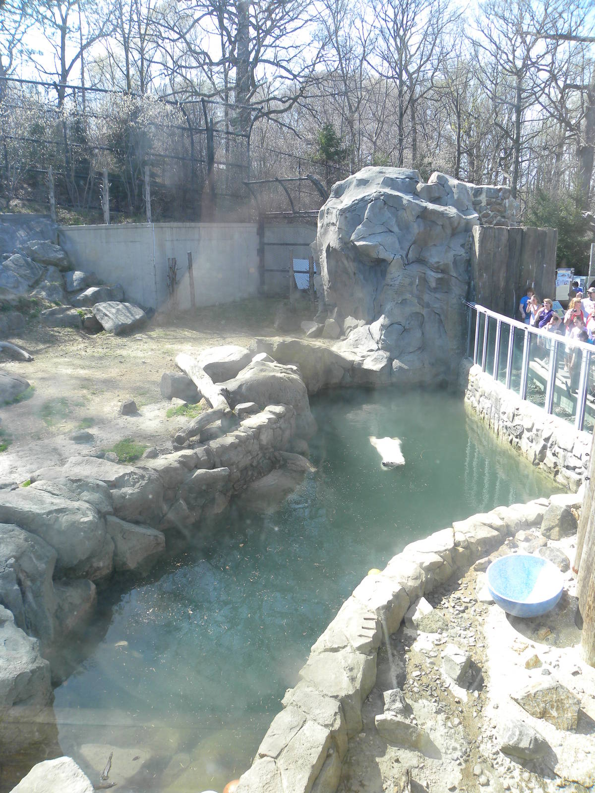 Polar Bear exhibit from the Tundra Buggy