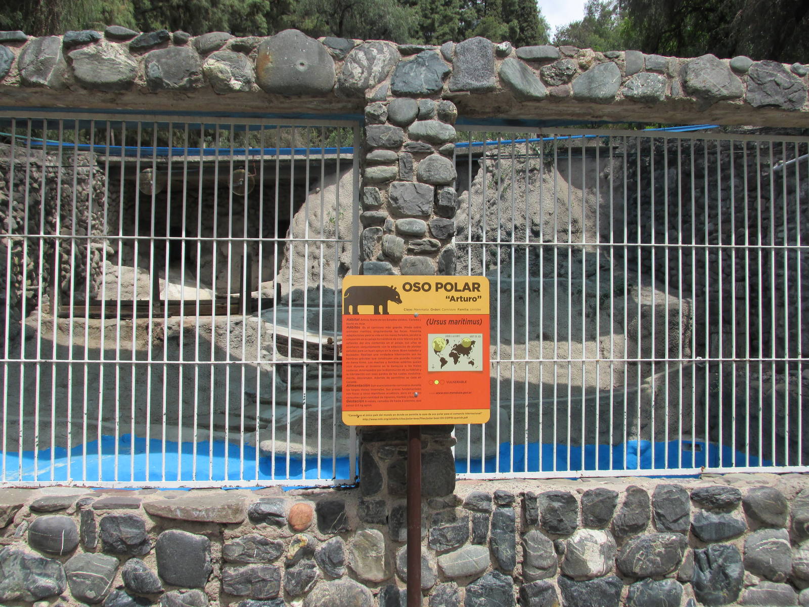 polar bear exhibit mendoza zoo
