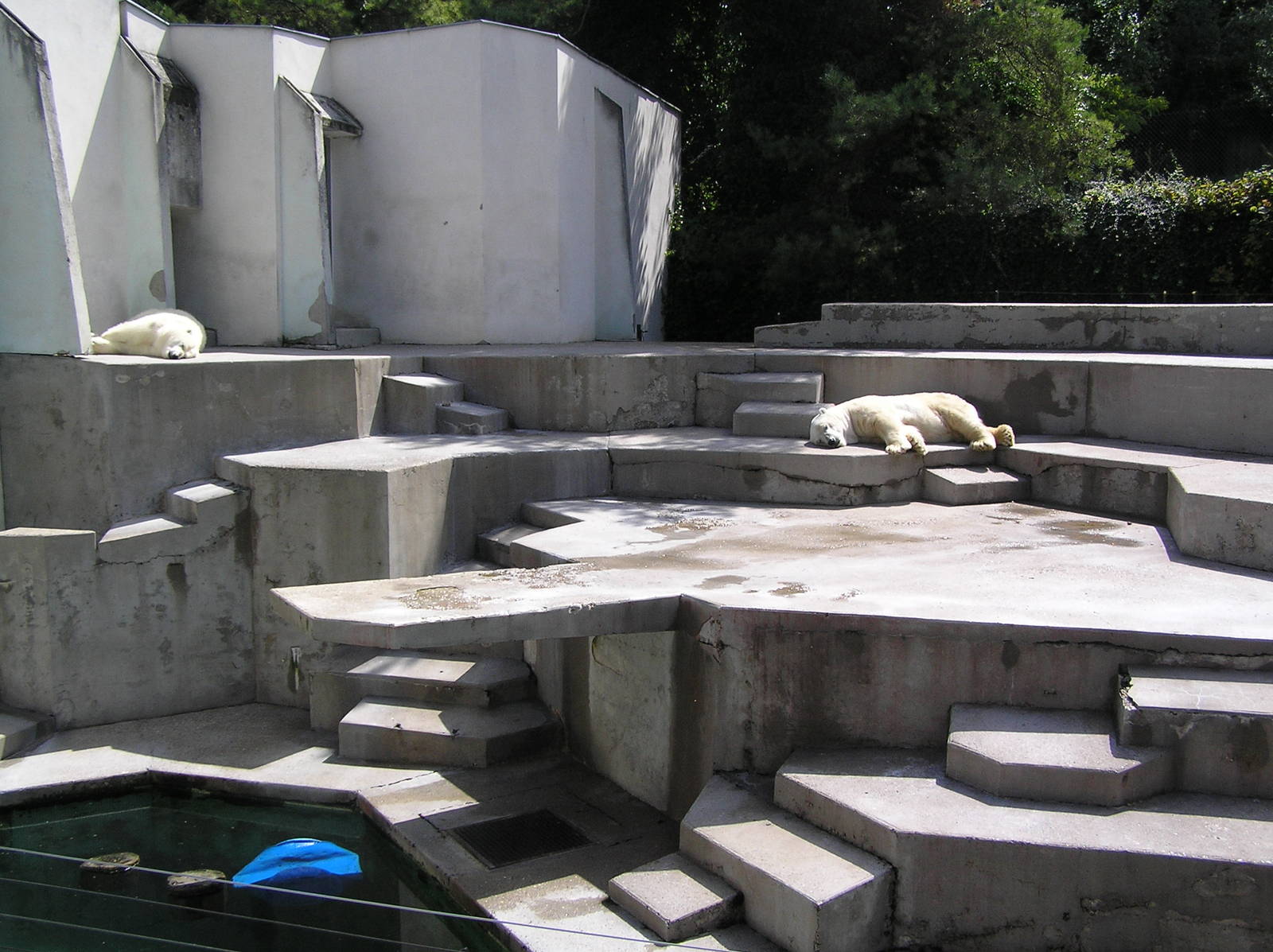 Polar bear exhibit - Mulhouse 06