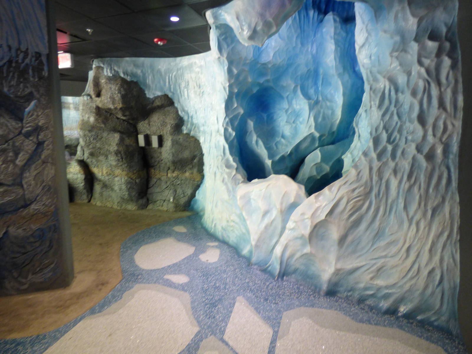 Polar Bear Exhibit - New Section