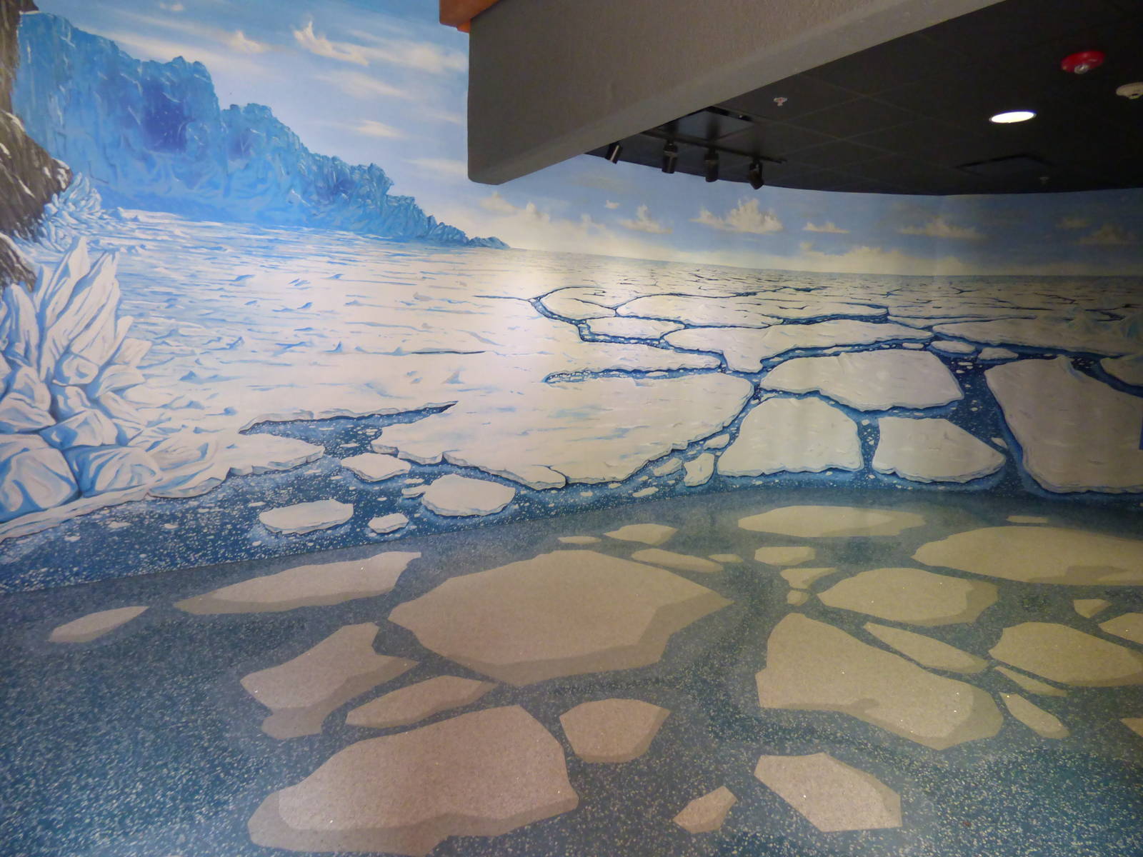 Polar Bear Exhibit - New Section