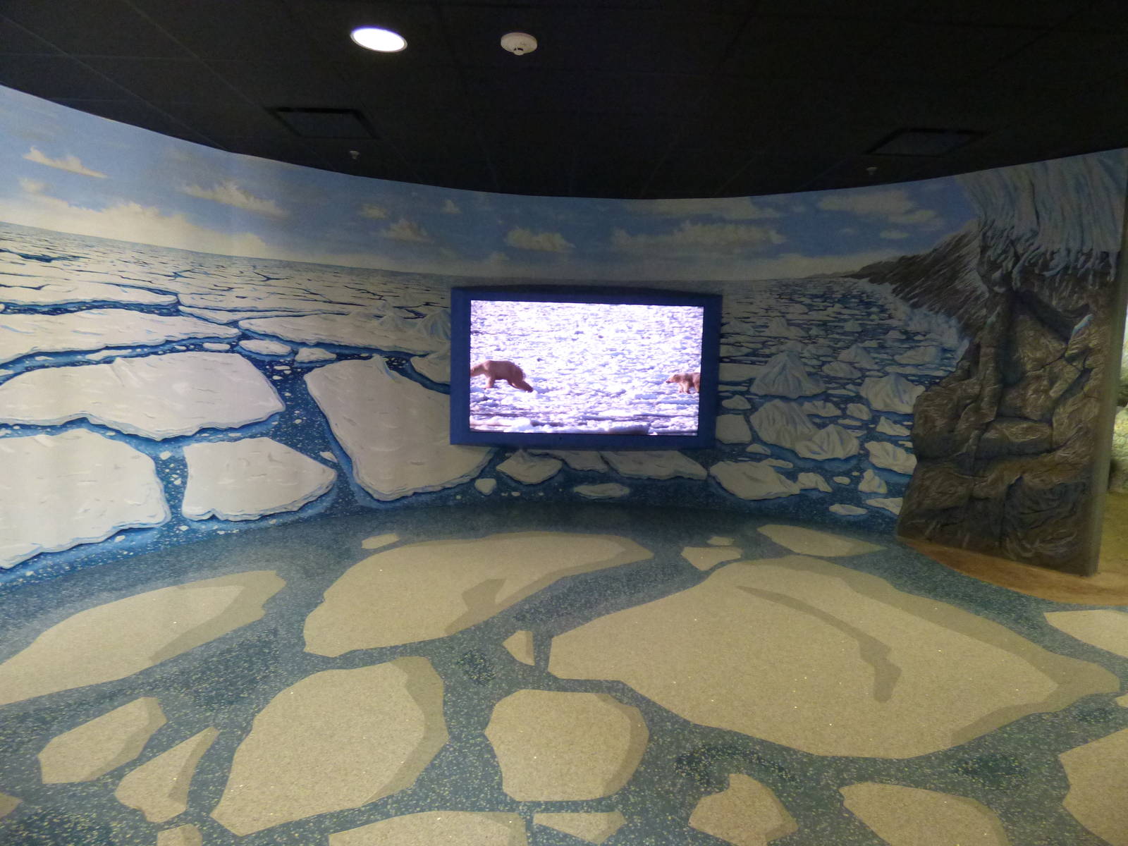 Polar Bear Exhibit - New Section
