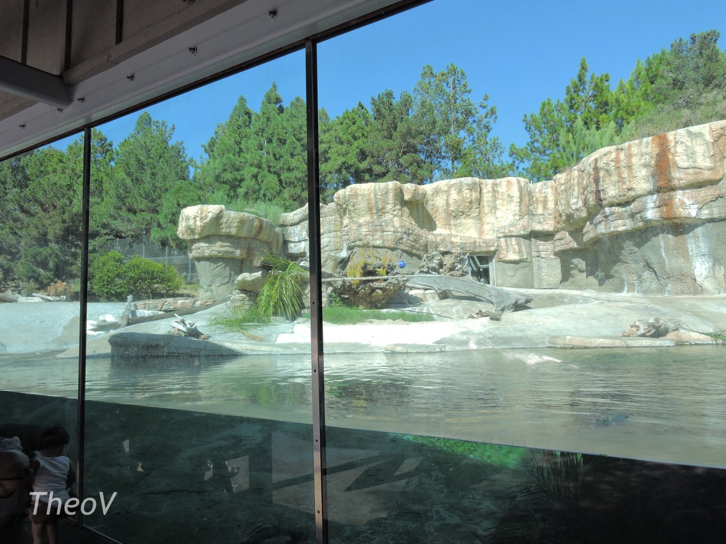 Polar bear exhibit - Northern Frontier [2015]