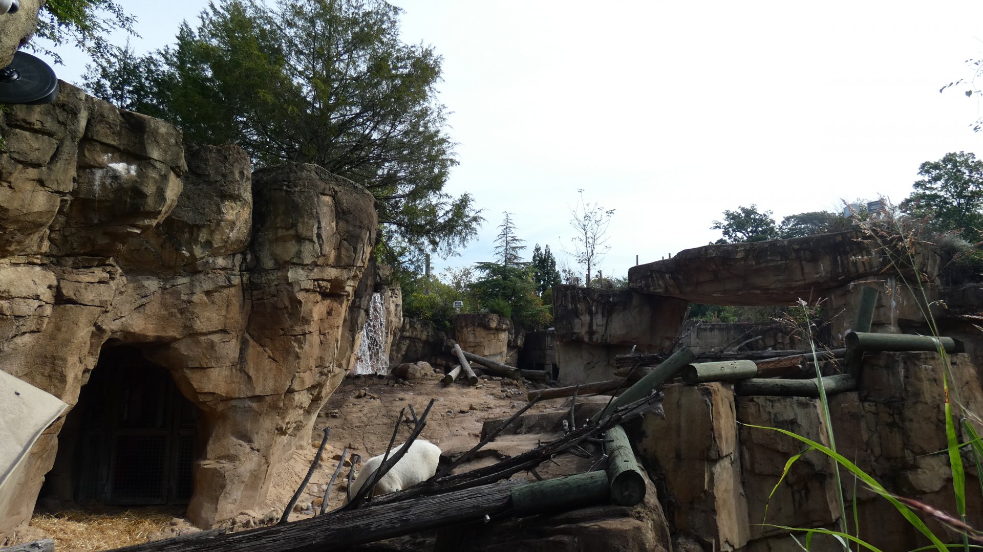 Polar Bear Exhibit, Northwest Passage - Sep. 2021