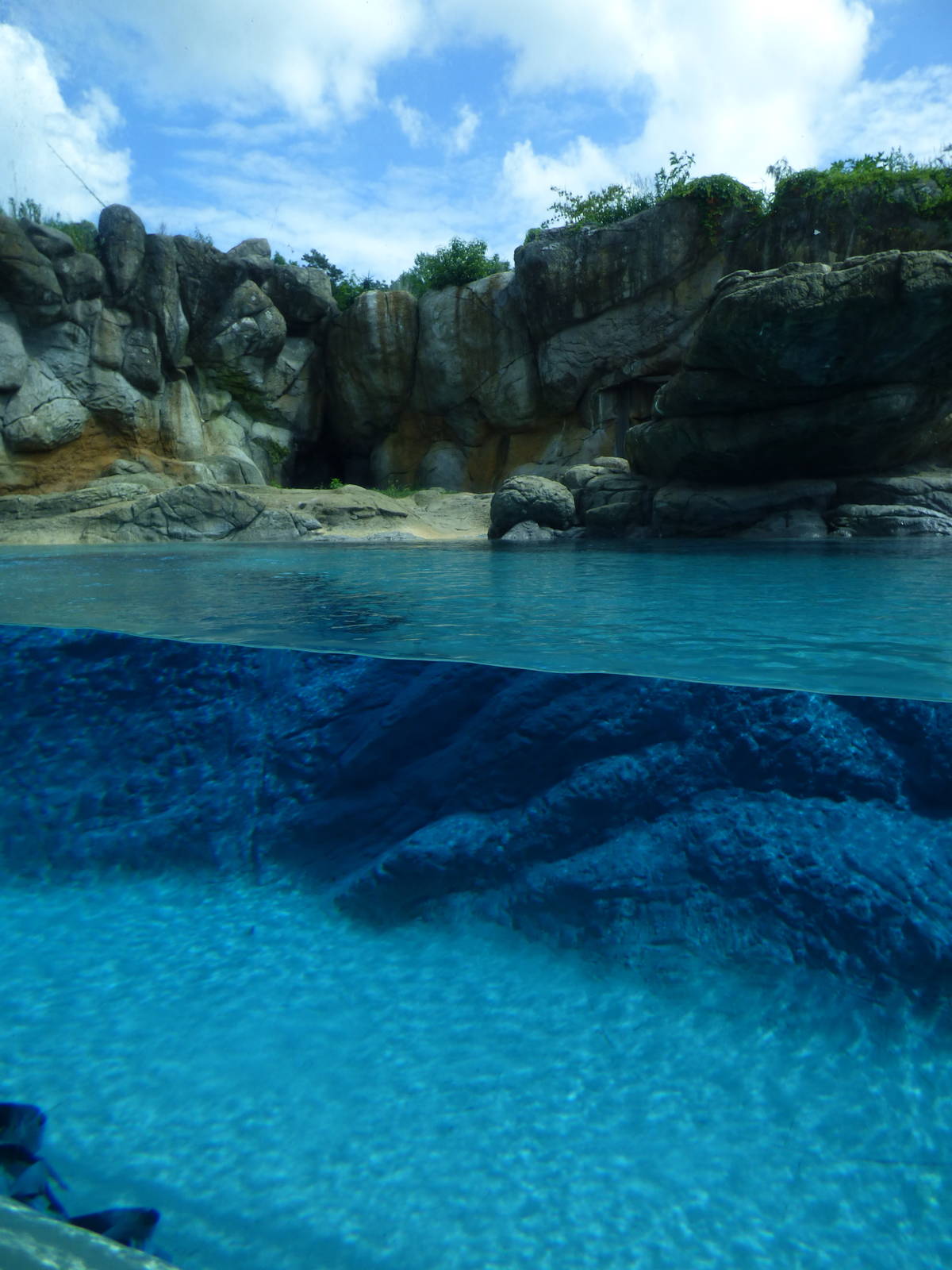Polar Bear Exhibit - Original Section
