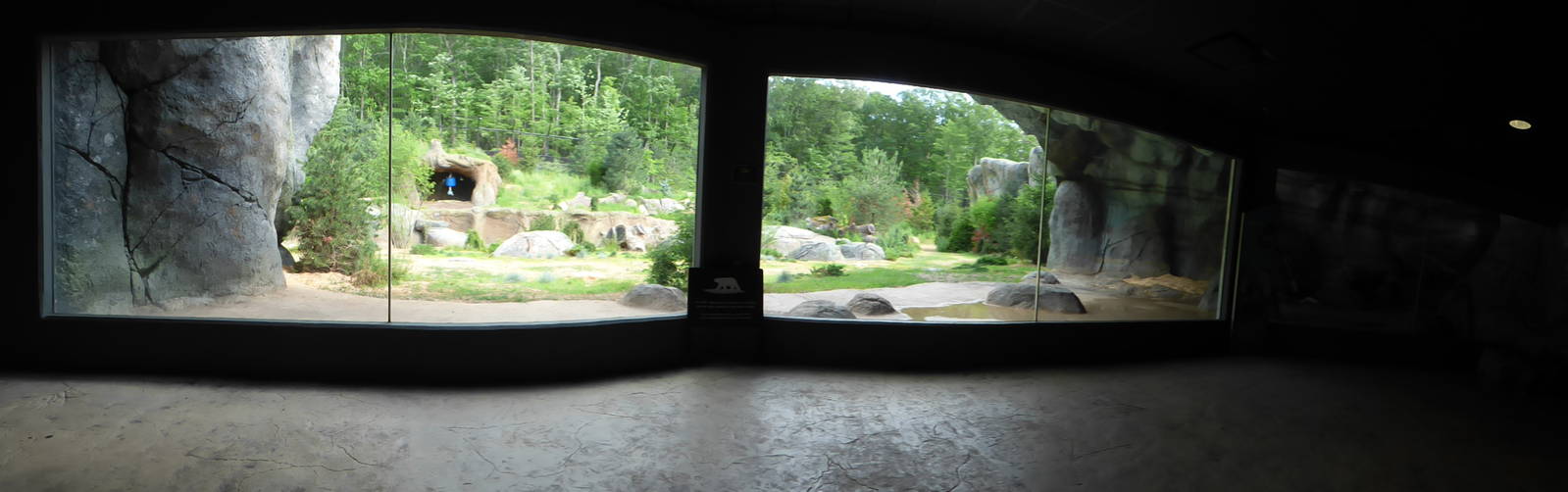 Polar Bear Exhibit - Panoramic View