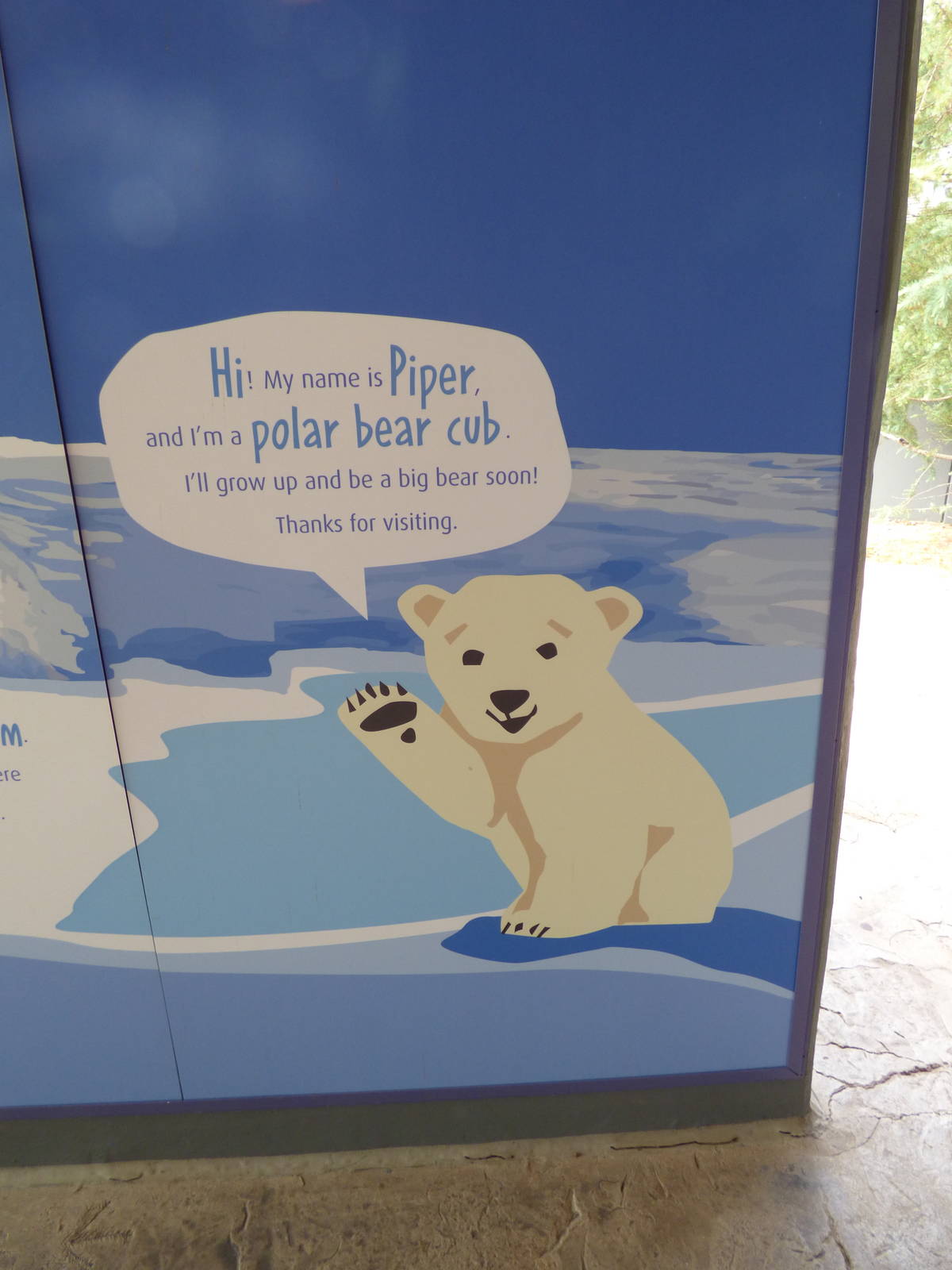 Polar Bear Exhibit - Piper's Den