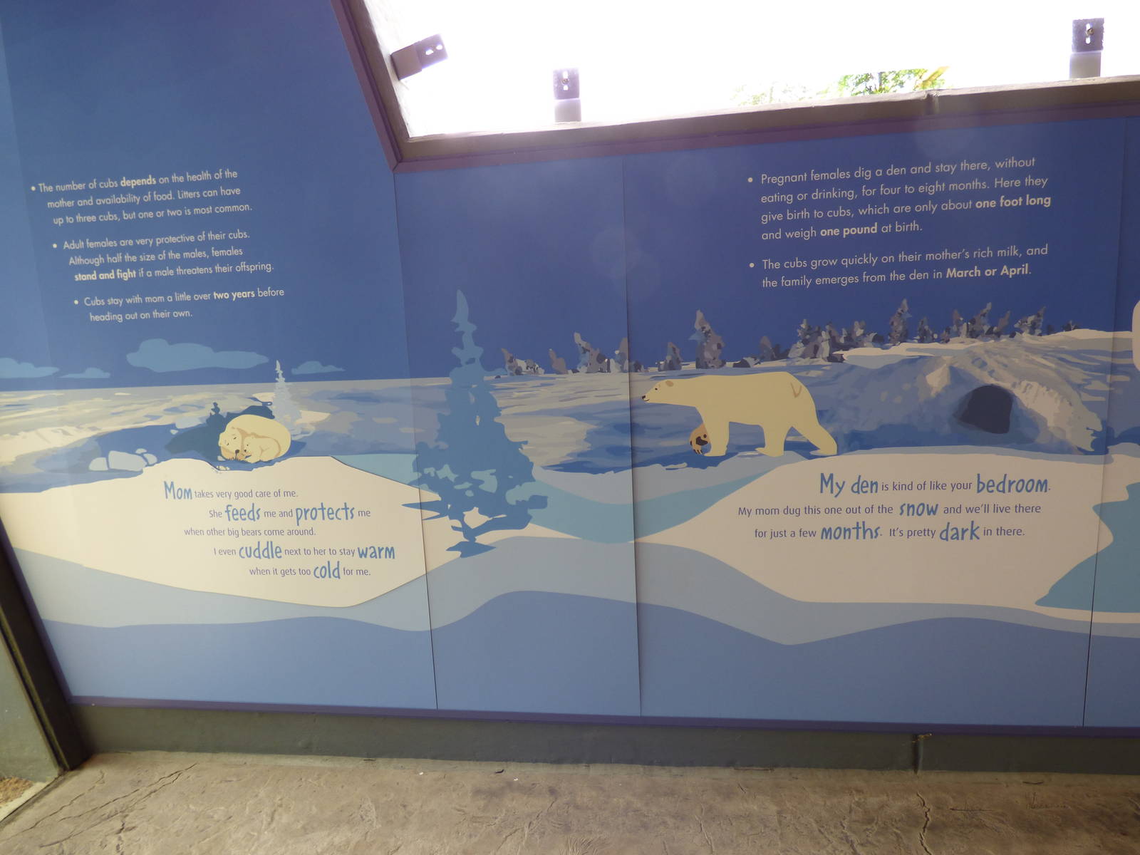 Polar Bear Exhibit - Piper's Den