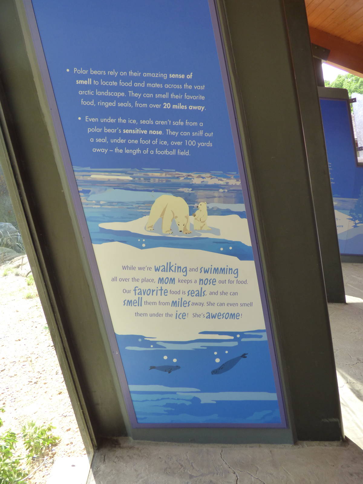 Polar Bear Exhibit - Piper's Den