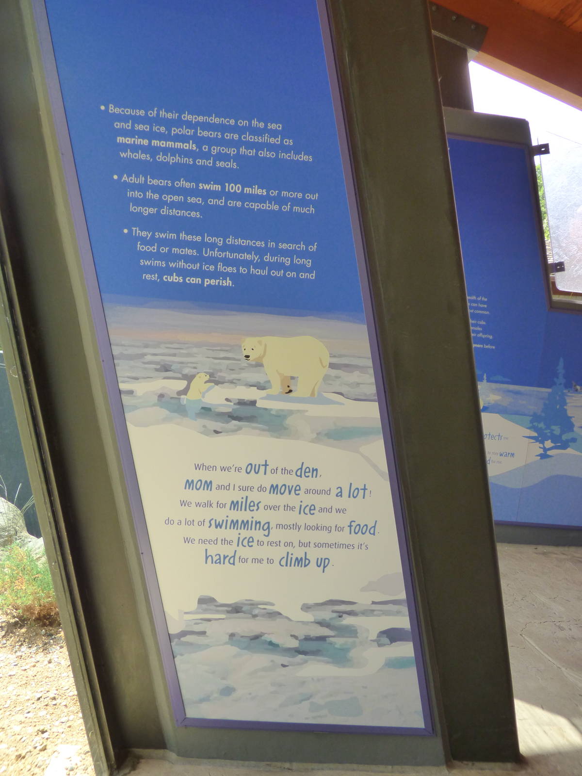 Polar Bear Exhibit - Piper's Den