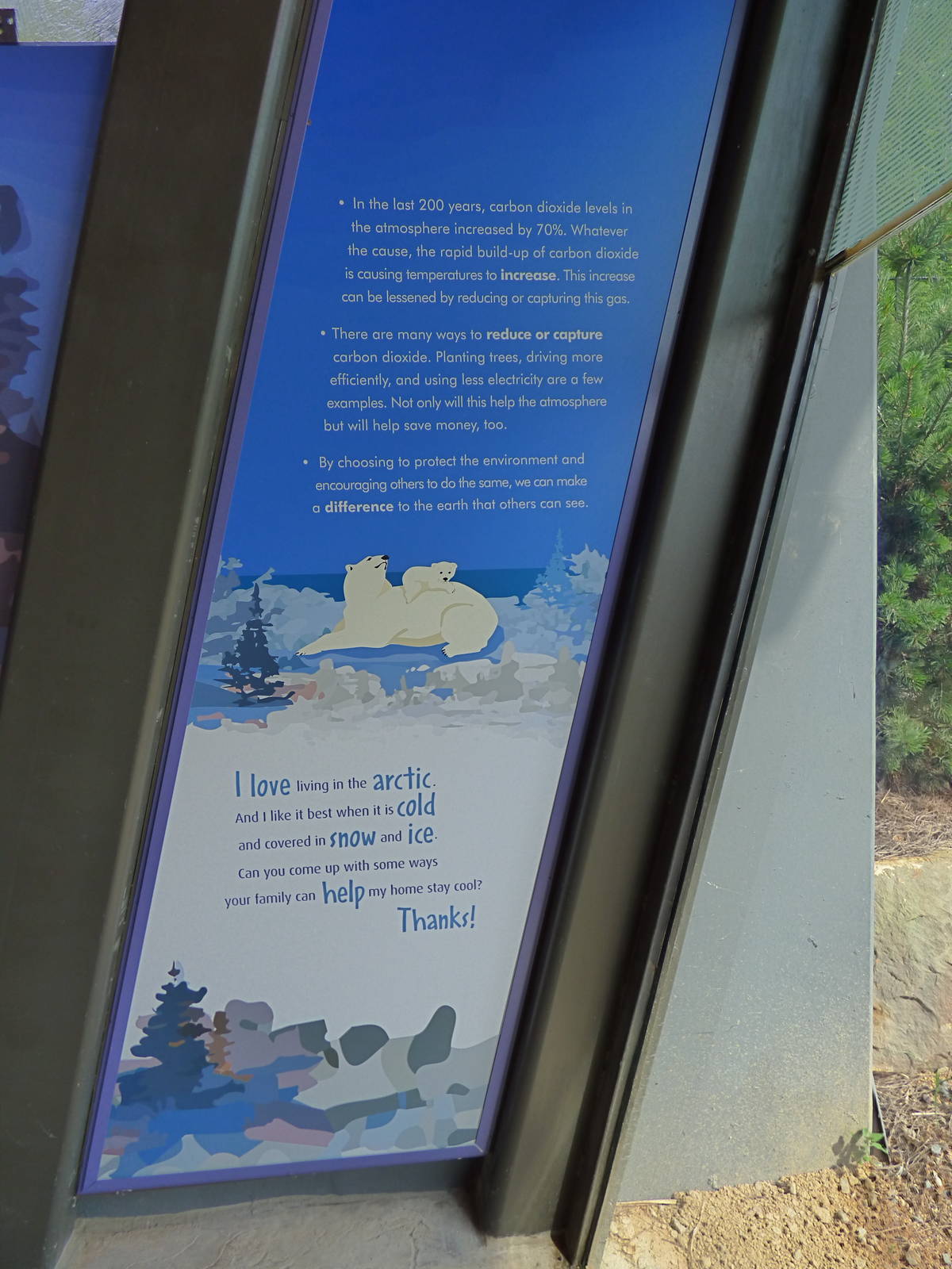 Polar Bear Exhibit - Piper's Den