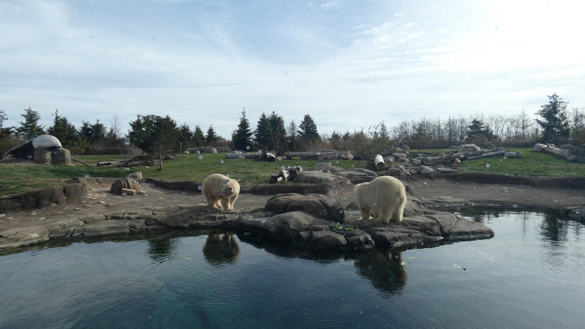 Polar Bear Exhibit, Polar Frontier - Nov. 2021