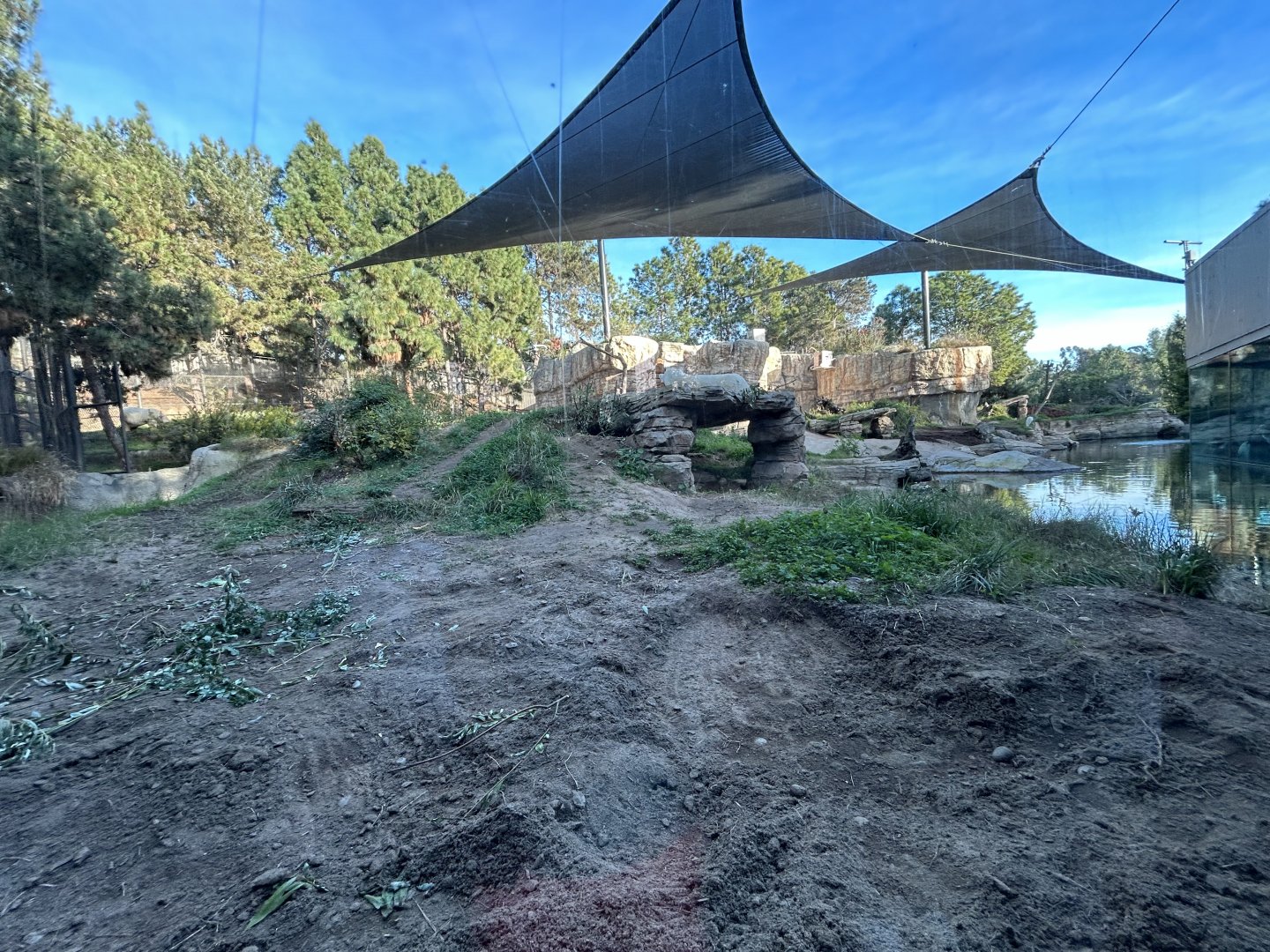 Polar Bear Exhibit - Polar Plunge