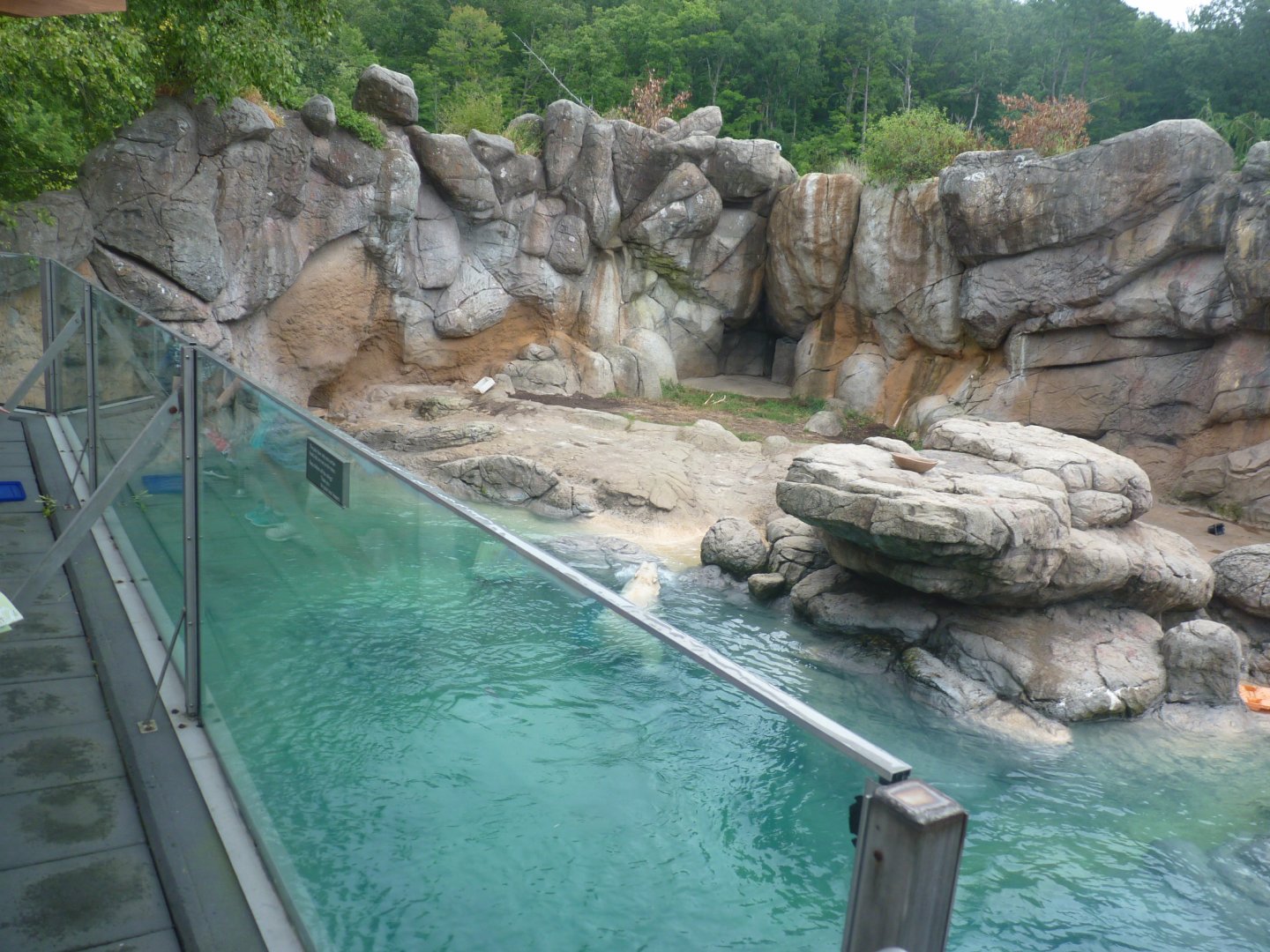 Polar bear exhibit pool