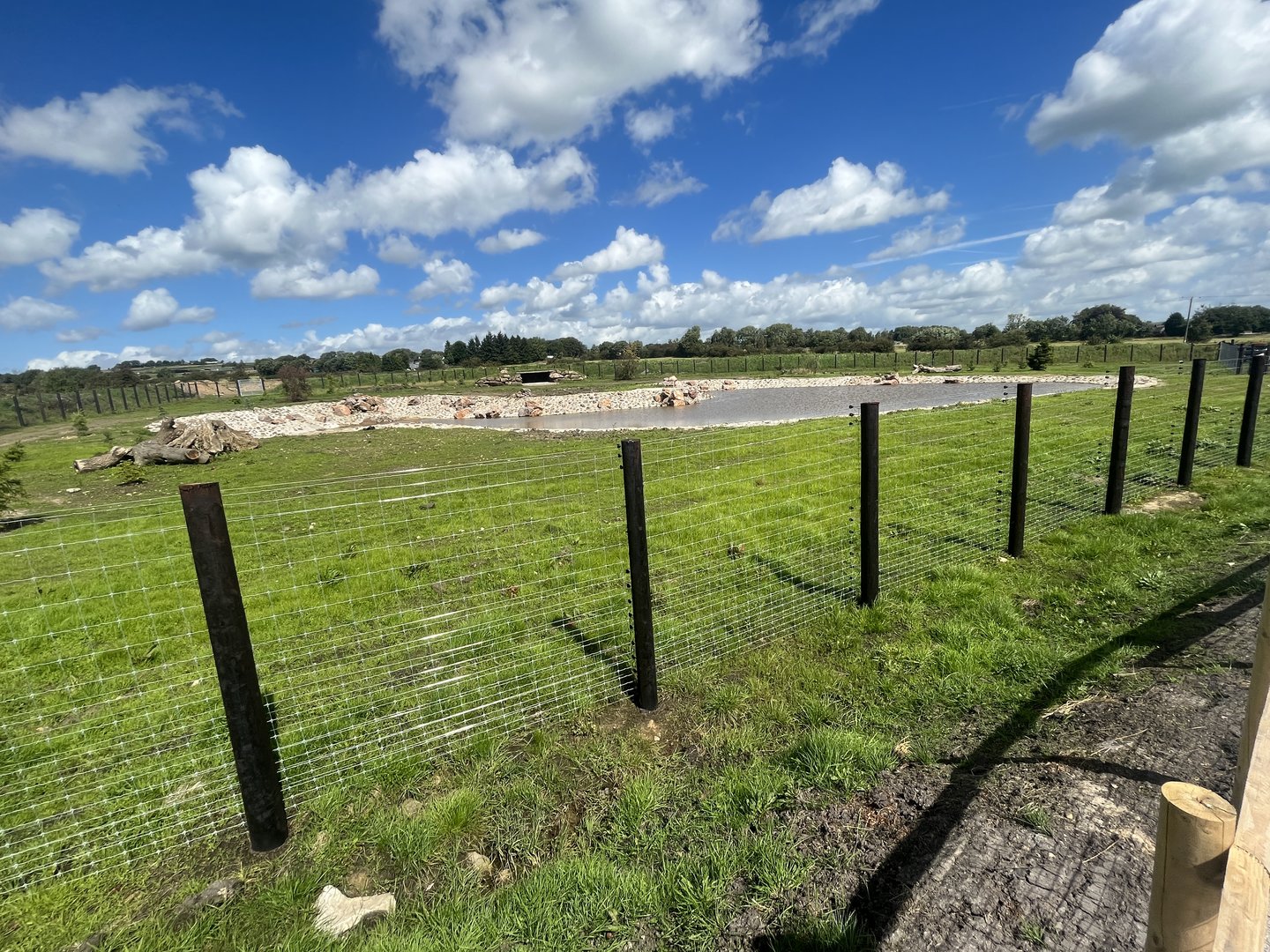 Polar Bear Exhibit, Second Section