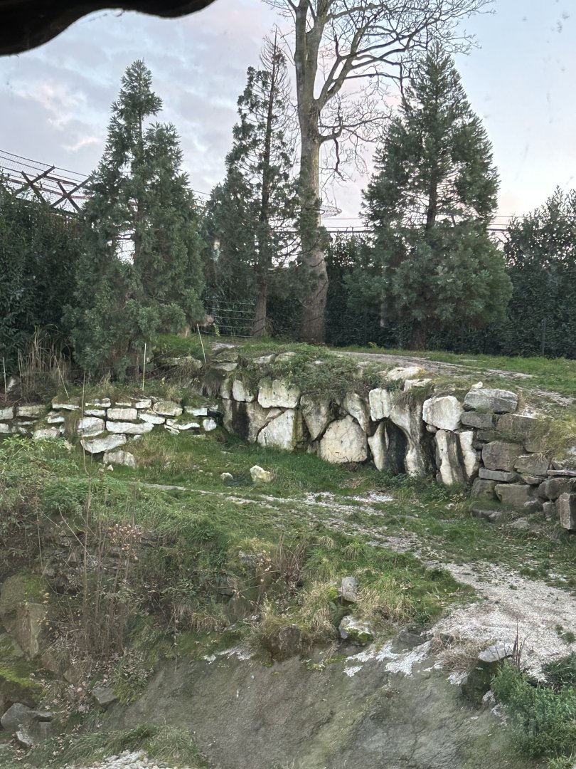 Polar bear exhibit seen from White Bear House