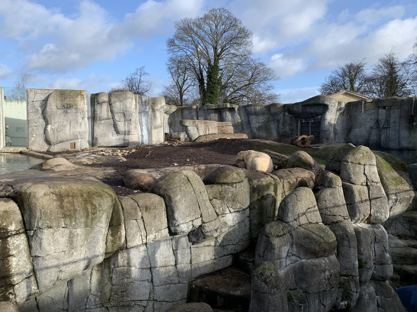 Polar bear exhibit - The Arctic Ring