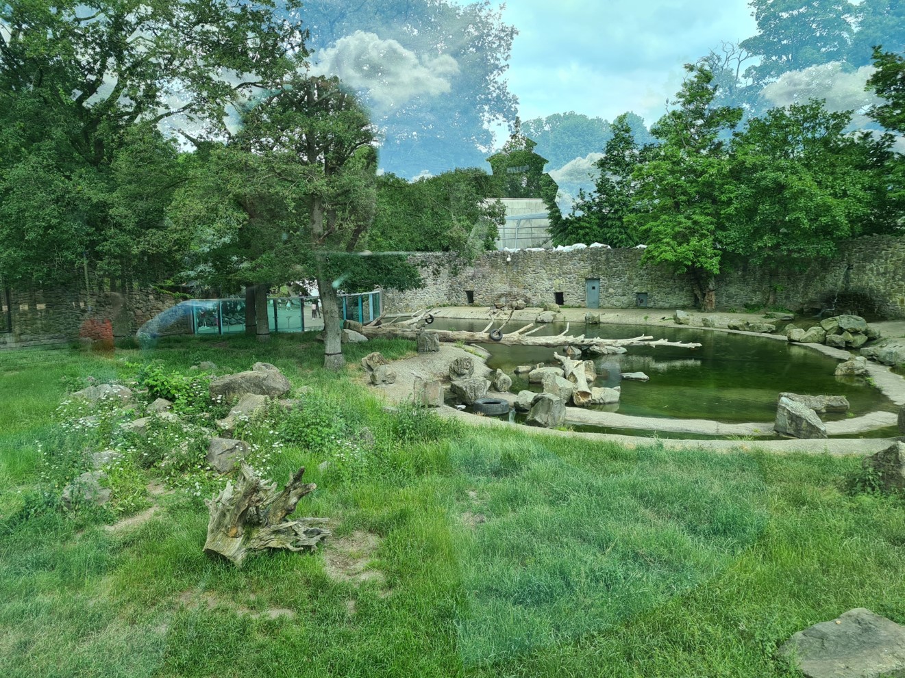 Polar bear exhibit - the nice side