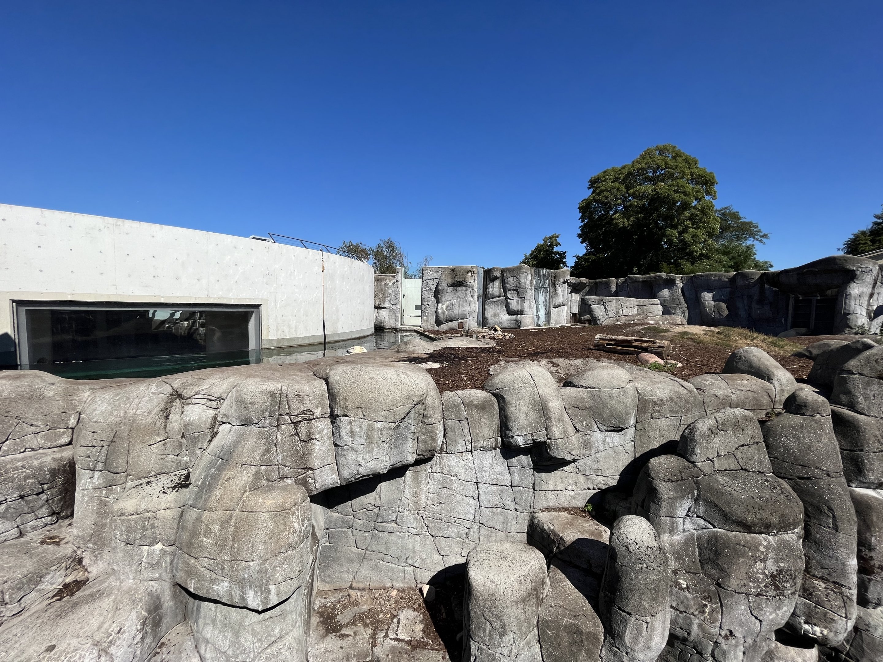 Polar Bear Exhibit - too small!