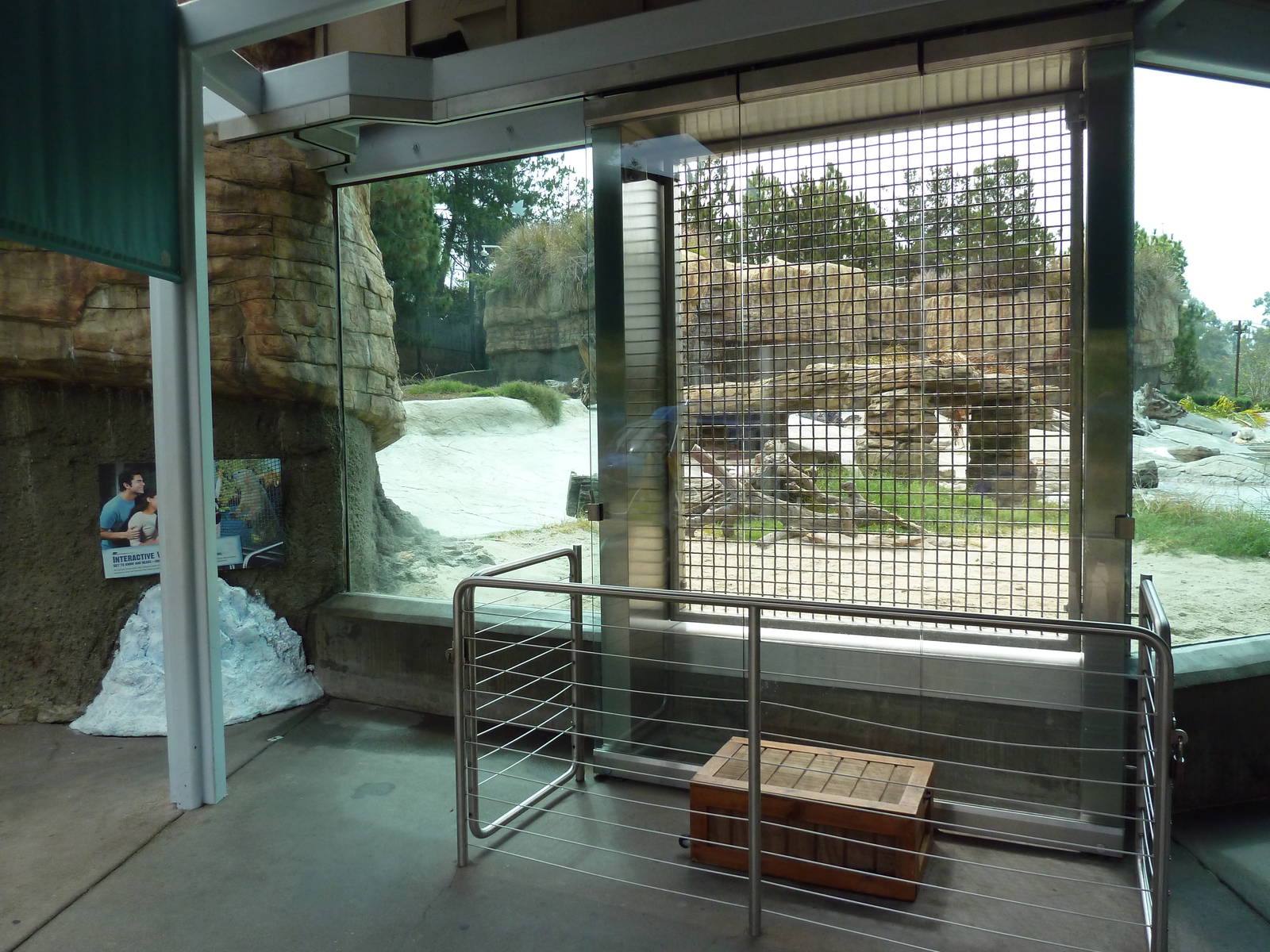 Polar Bear Exhibit - Training Wall