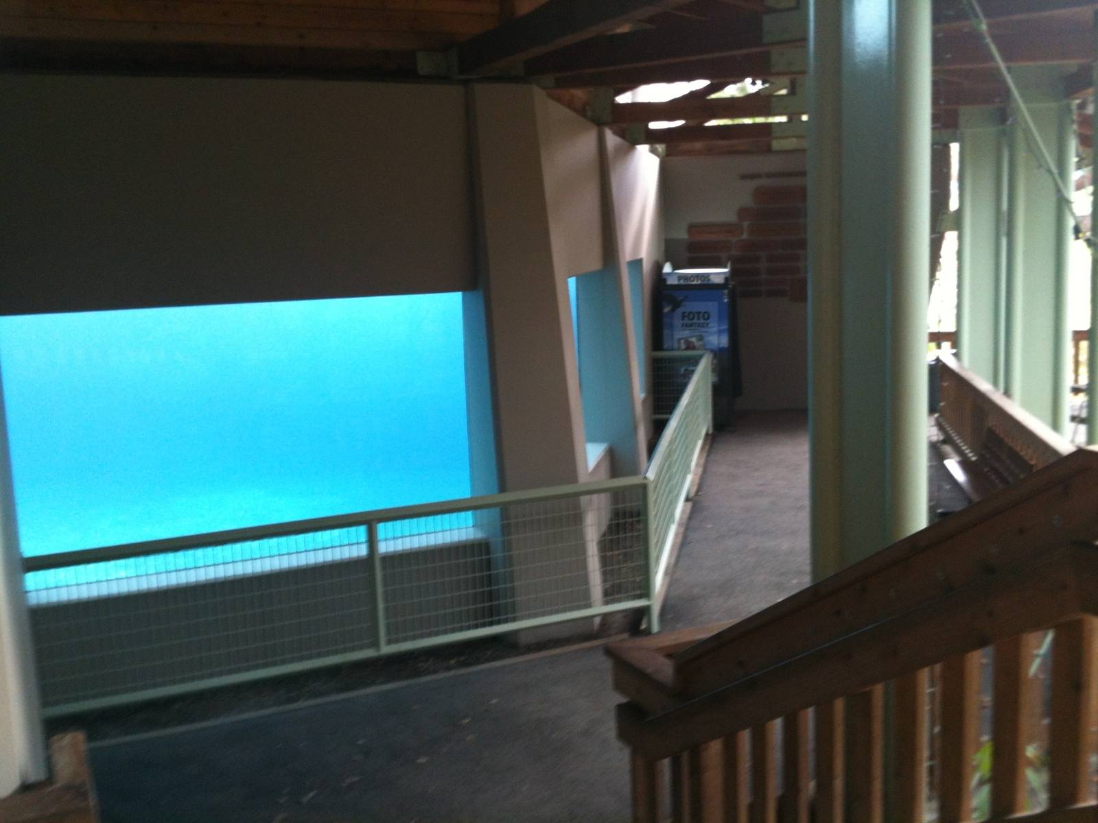 Polar Bear Exhibit Underwater Viewing