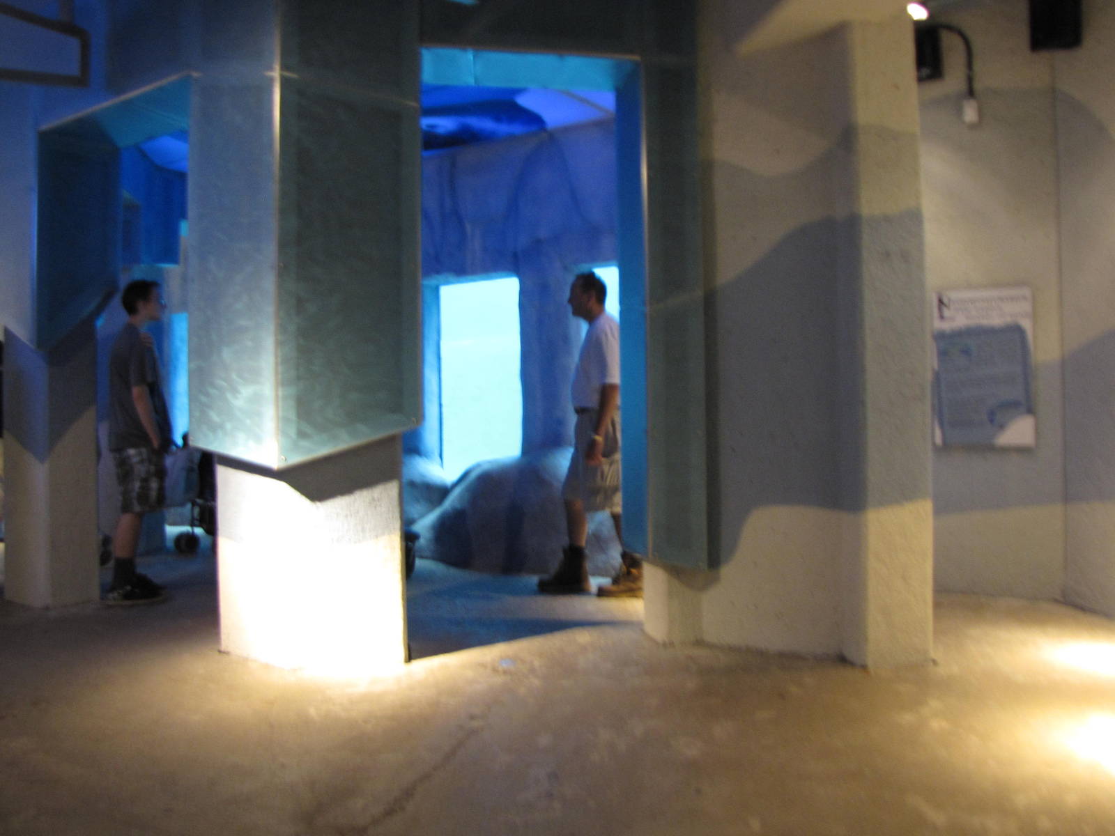 Polar Bear Exhibit Underwater Viewing