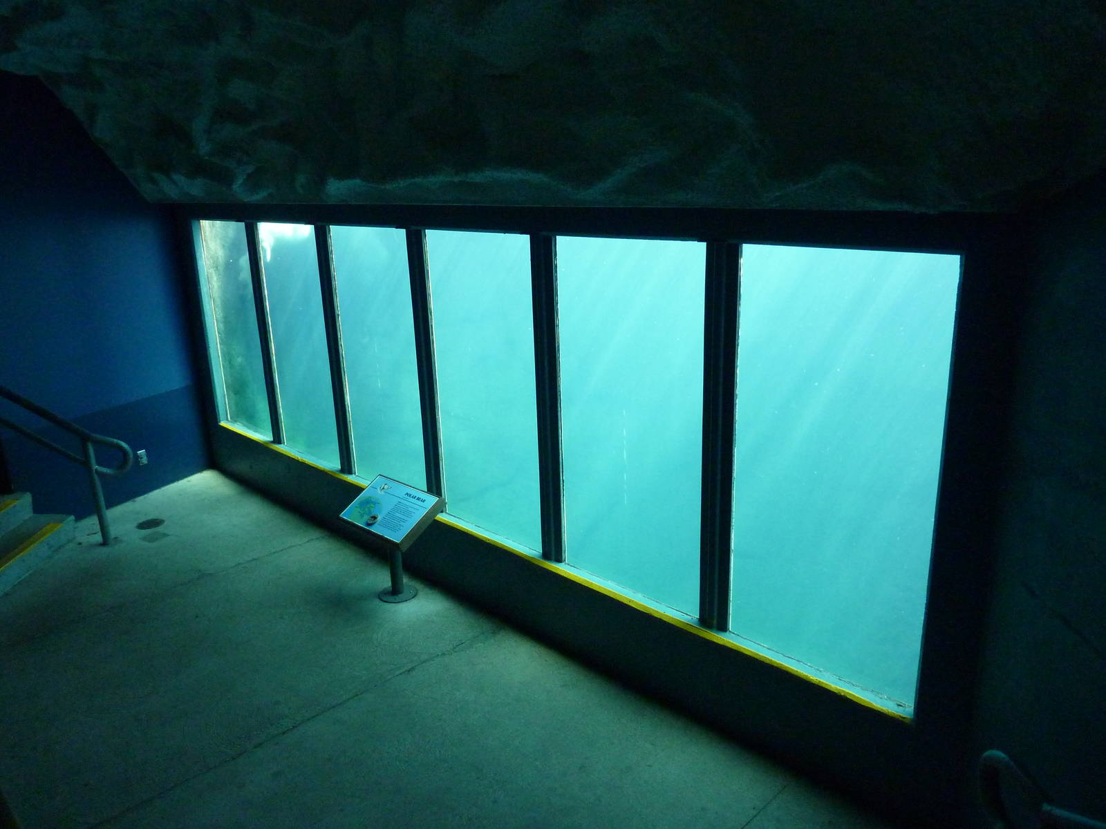 Polar Bear Exhibit - Underwater Viewing
