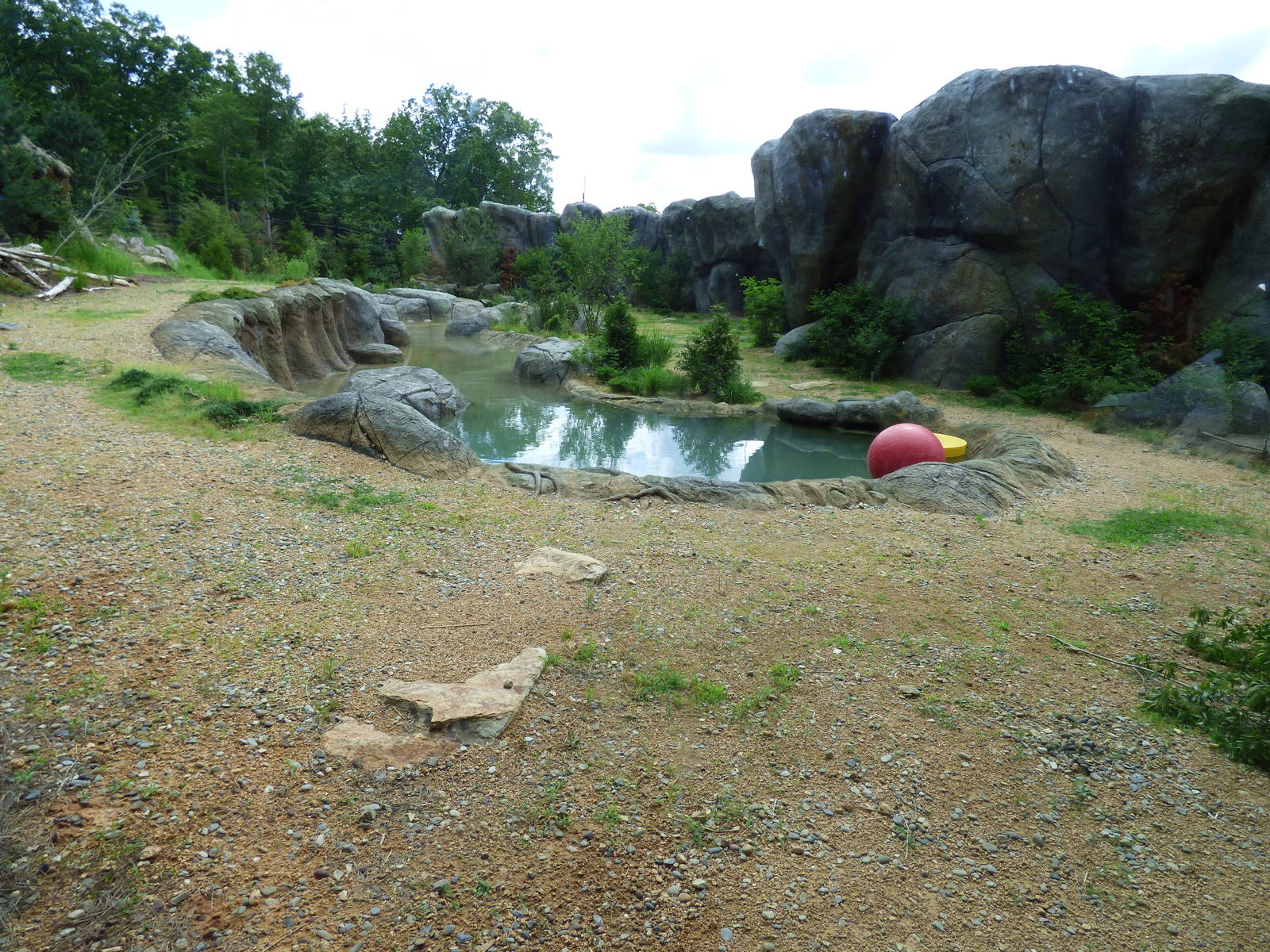 Polar Bear Exhibit - View from Piper's Den