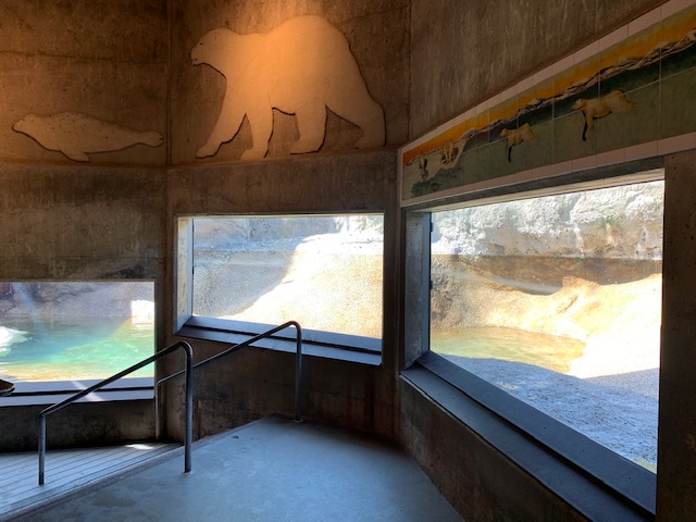Polar Bear Exhibit - Viewing Area #1