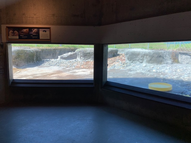 Polar Bear Exhibit - Viewing Area #2