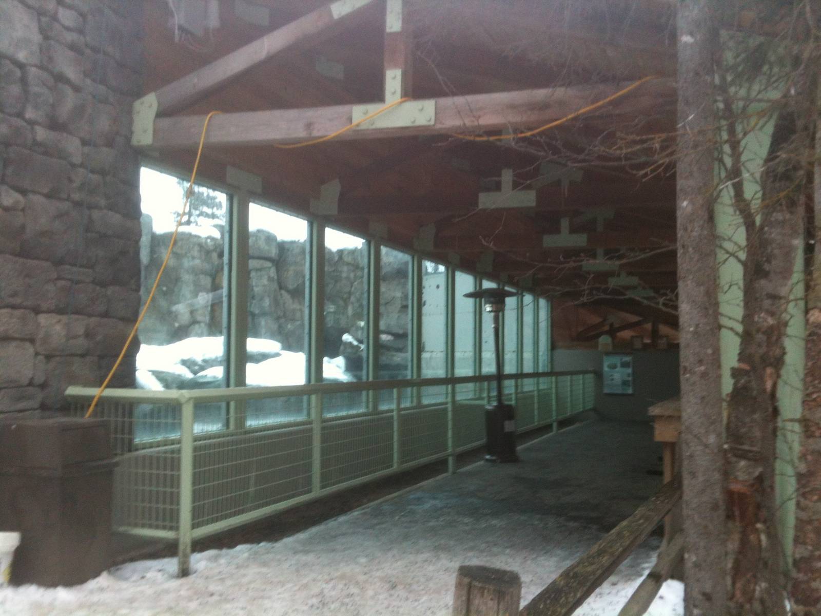 Polar Bear Exhibit Viewing Area