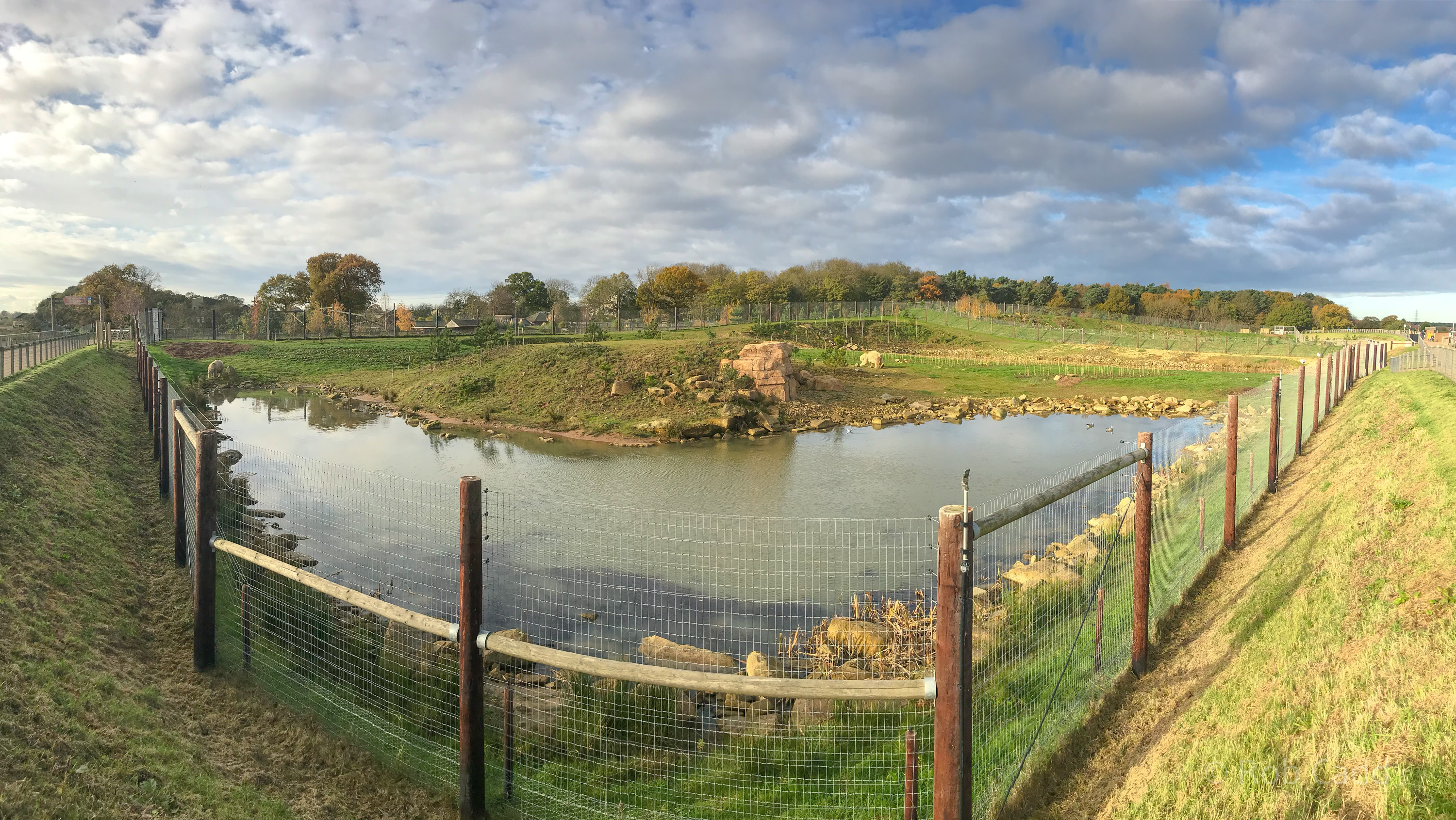 Polar bear (exhibit) : Yorkshire WP : 11 Nov 2017