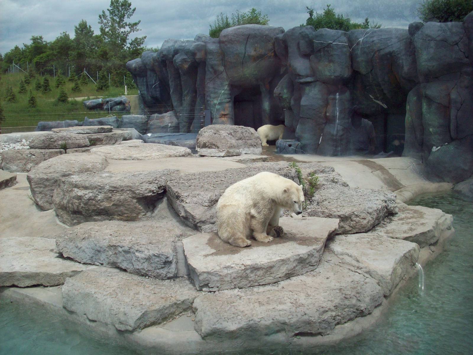 Polar Bear exhibit.