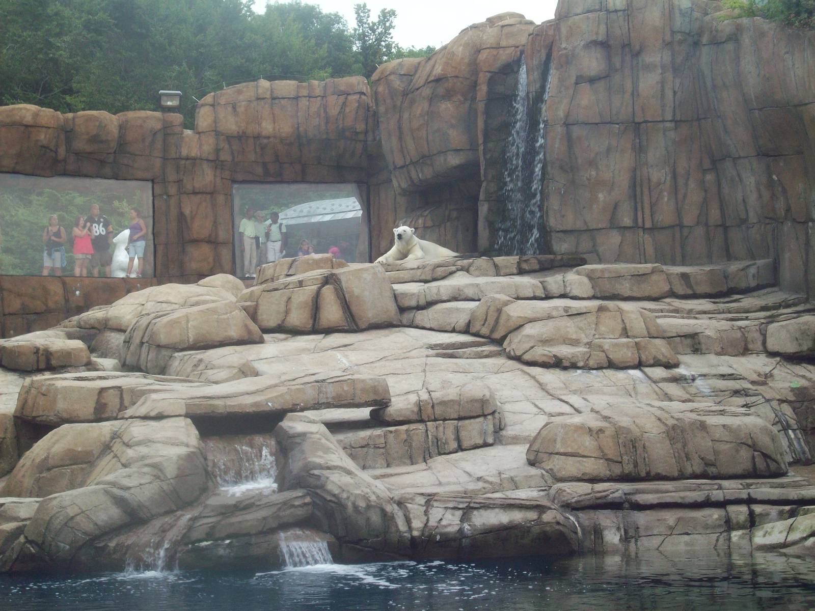 Polar Bear Exhibit