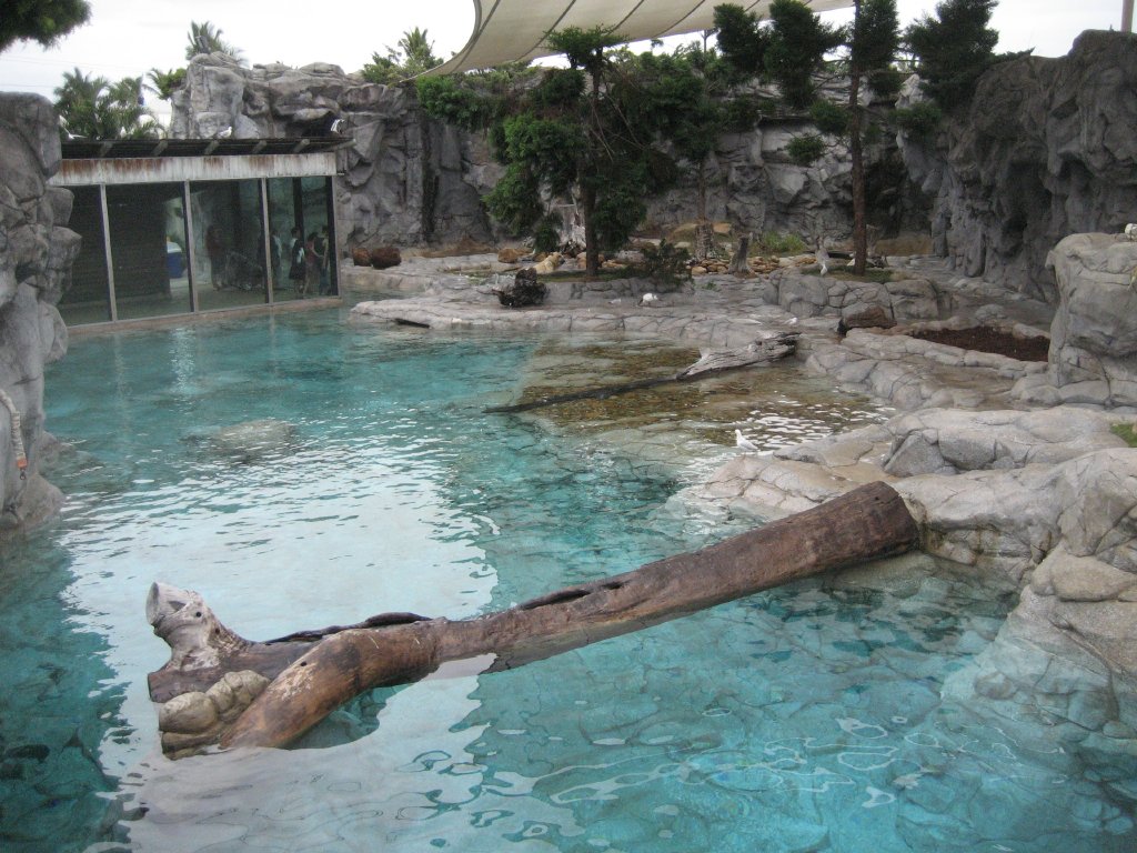 Polar Bear exhibit