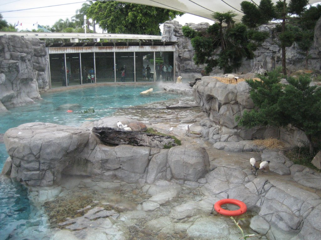Polar Bear exhibit